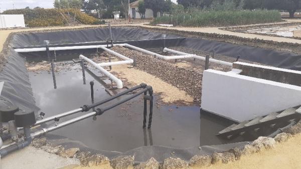 Buen funcionamiento del sistema Rhizosph’air y los humedales flotantes
