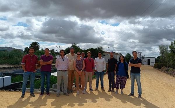 Sexta reunión de proyecto