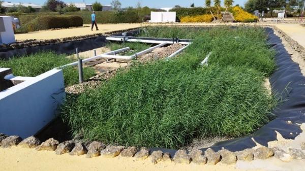 Plena operación en la planta demostrativa mediterránea